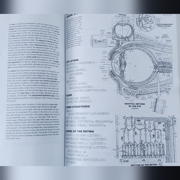 The Anatomy Colorong Book - Picture 3 of 5